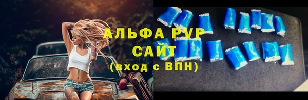 индика Богданович