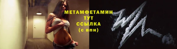 индика Богданович
