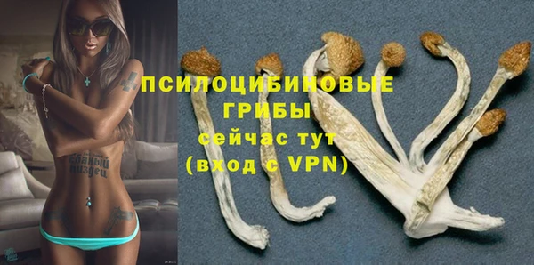 стаф Богородицк