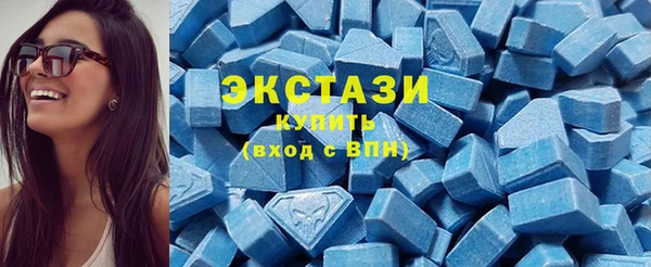 индика Богданович