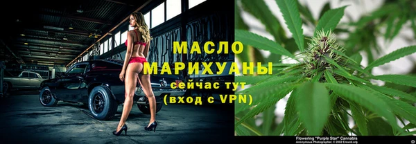 индика Богданович