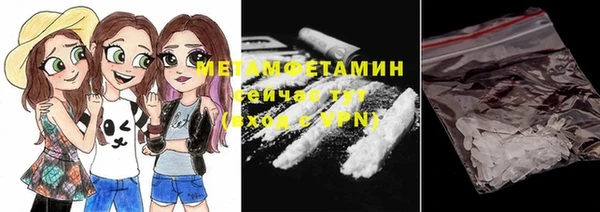 индика Богданович