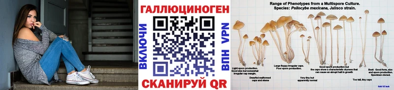 Галлюциногенные грибы MAGIC MUSHROOMS  цена наркотик  Старица 