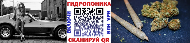 ссылка на мегу вход  сколько стоит  Старица  Бошки марихуана MAZAR 